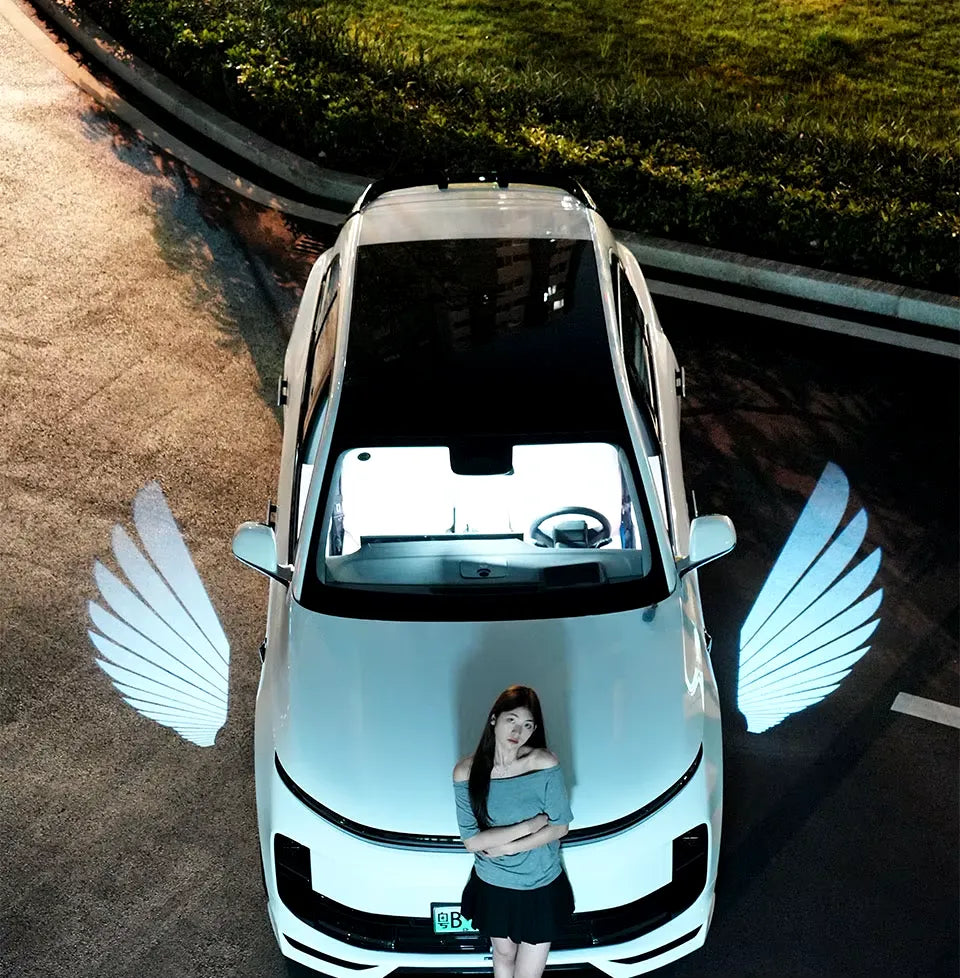 Luces de Alas Premium x2