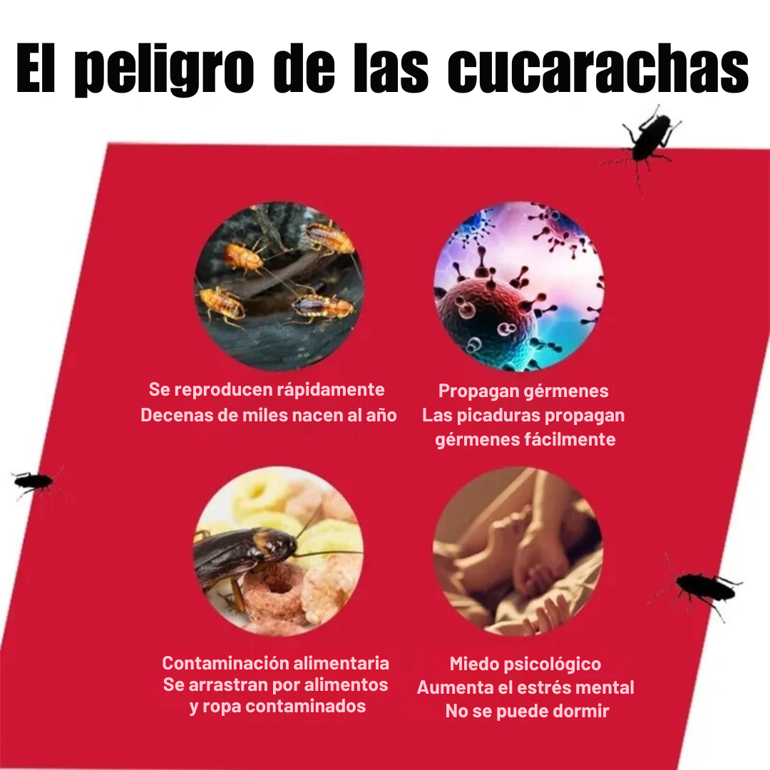 EXTERMINALAS™: Trampa Mata Cucarachas x6